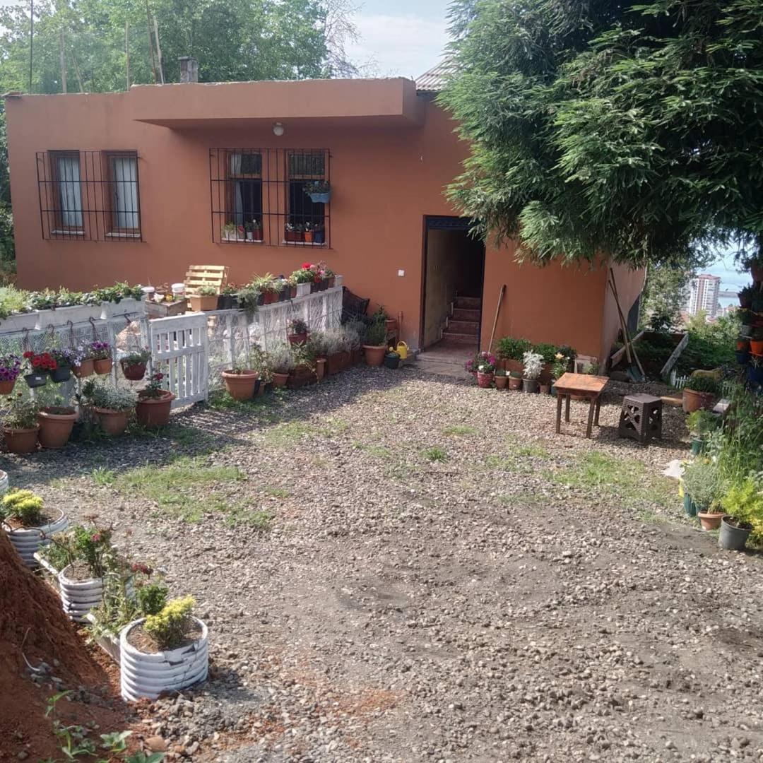 kutuban hostel özel oda - Housity