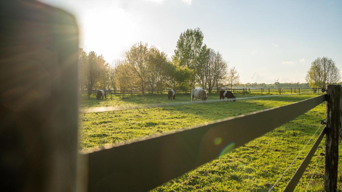 Gipsy Home - Housity