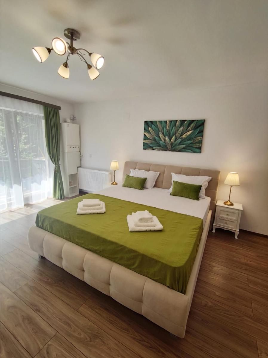 Green Studio - Hizvo