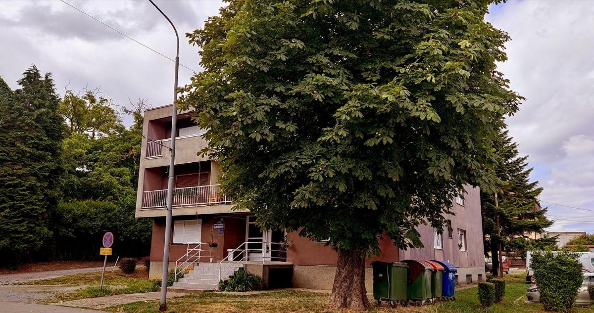 TP Apartman 1 - Housity
