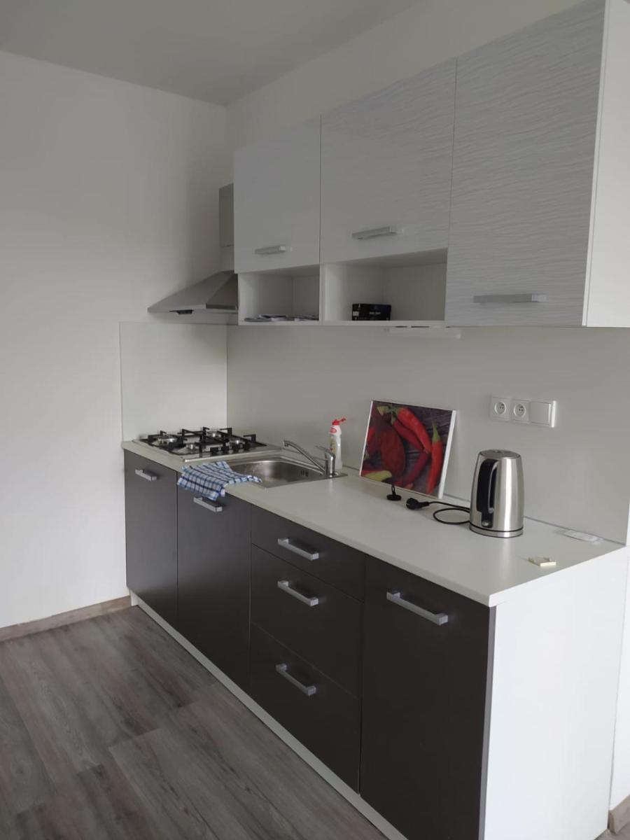 Komfortní apartmán nedaleko centra města Teplice - Housity