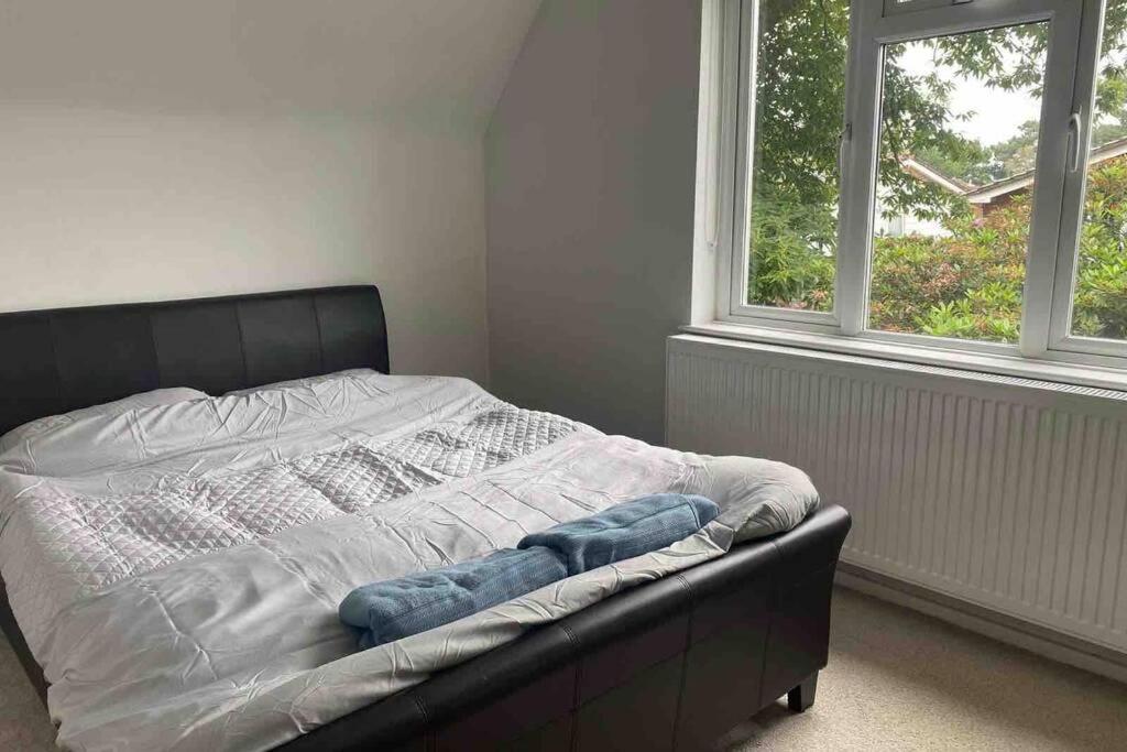 Lovely cottage in the heart of Shirley- Croydon - Housity