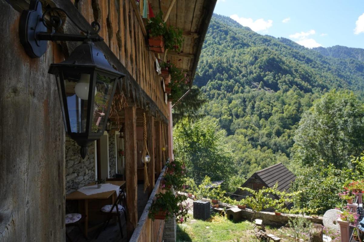 Shanty - Housity
