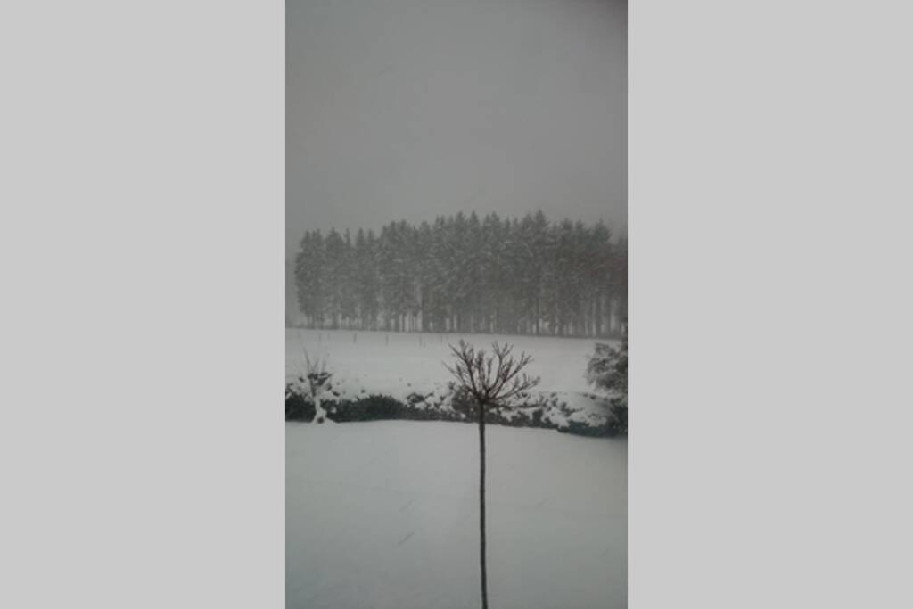 Ruhe Oase mit tollem Fernblick inmitten der Natur - Housity