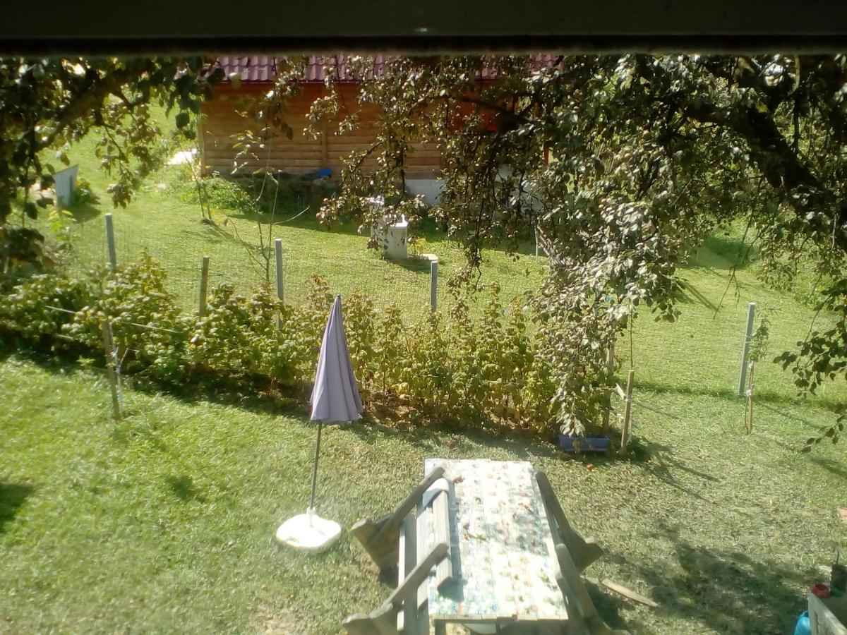 all seasons 2 - Hizvo