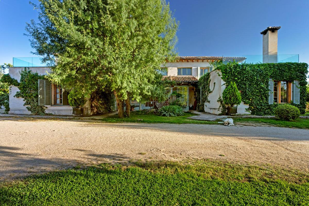 una casa con un árbol delante en Finca Fuente Techada - Adults Only, en Sotosalbos