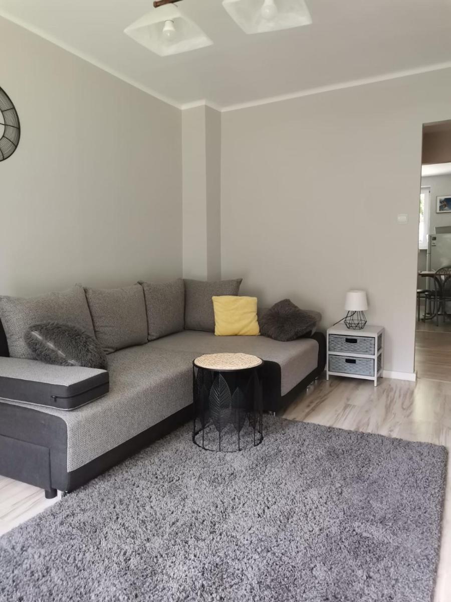 Apartament Pionierska - Housity