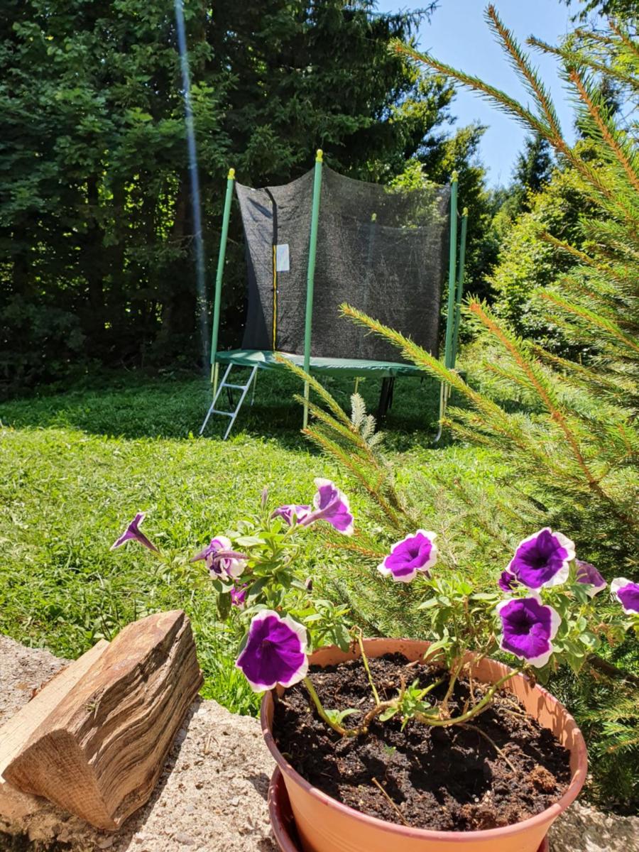 Forest house Masha - Housity