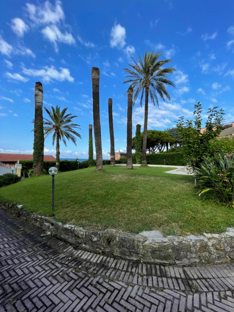 Celeste Apartment - Housity