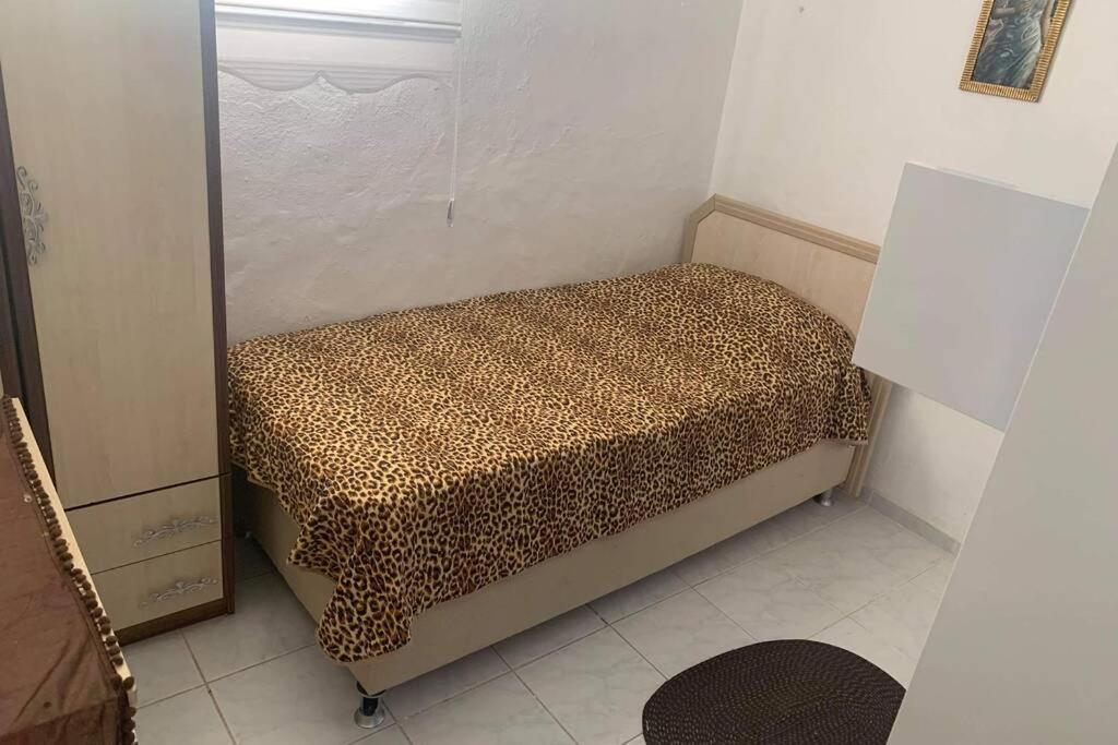 Cosy,nice and convenient family sea view apartment - Housity