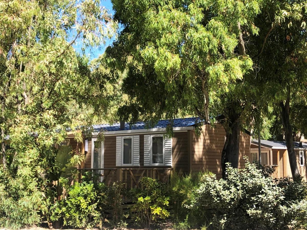 Jardin de l'établissement Camping La Pinède
