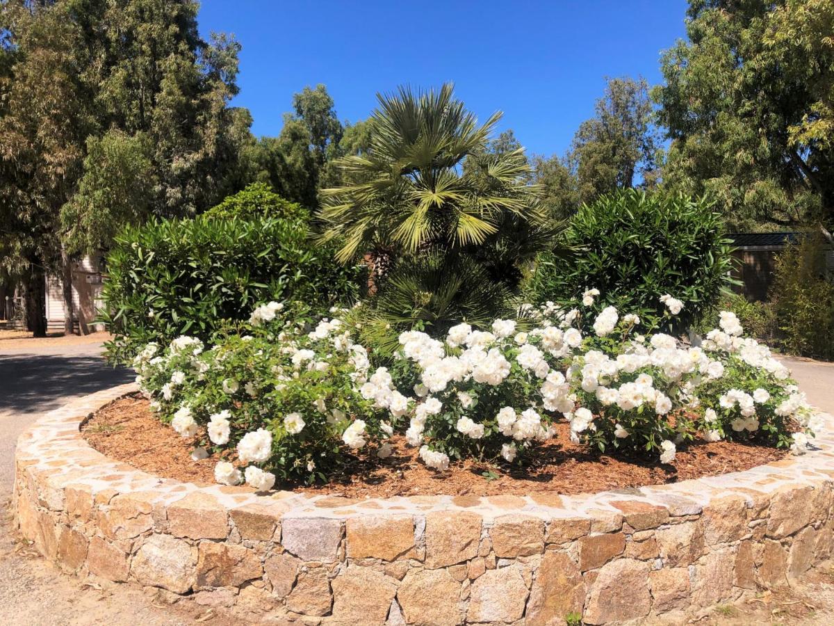 Jardin de l'établissement Camping La Pinède
