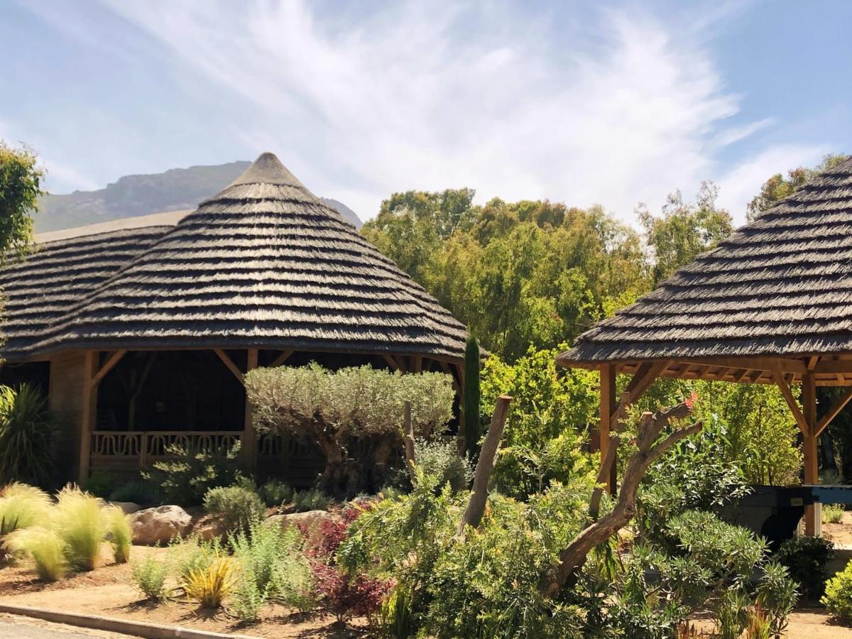 Jardin de l'établissement Camping La Pinède