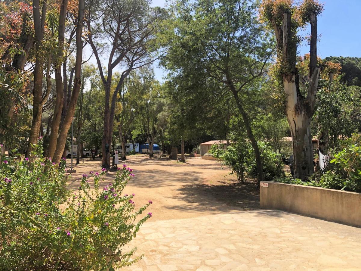 Jardin de l'établissement Camping La Pinède