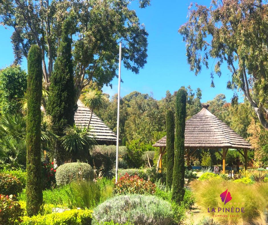 Jardin de l'établissement Camping La Pinède