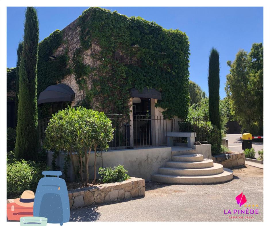 Jardin de l'établissement Camping La Pinède