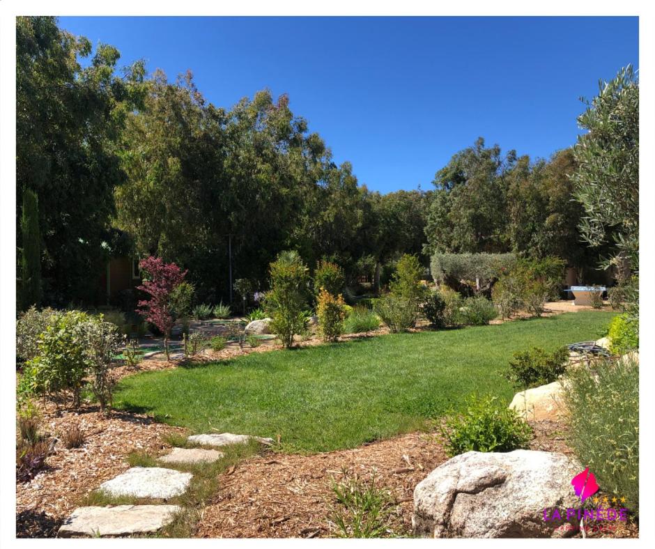Jardin de l'établissement Camping La Pinède