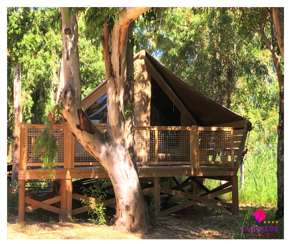 Jardin de l'établissement Camping La Pinède
