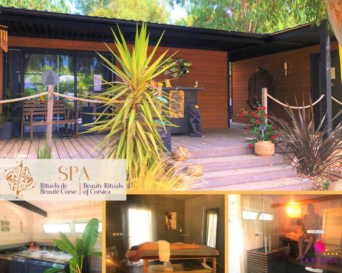 Jardin de l'établissement Camping La Pinède