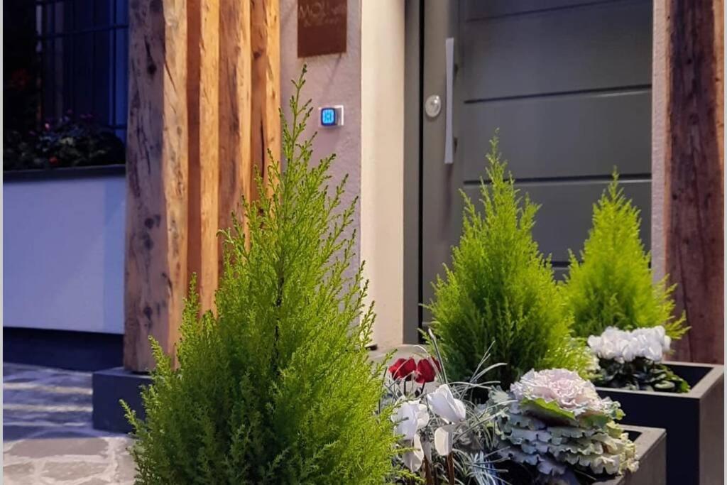 Suite moderna a due passi dal centro - Housity