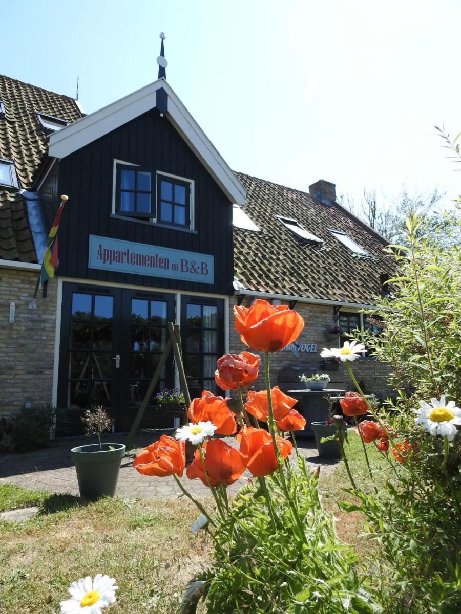 De Stormvogel - Housity