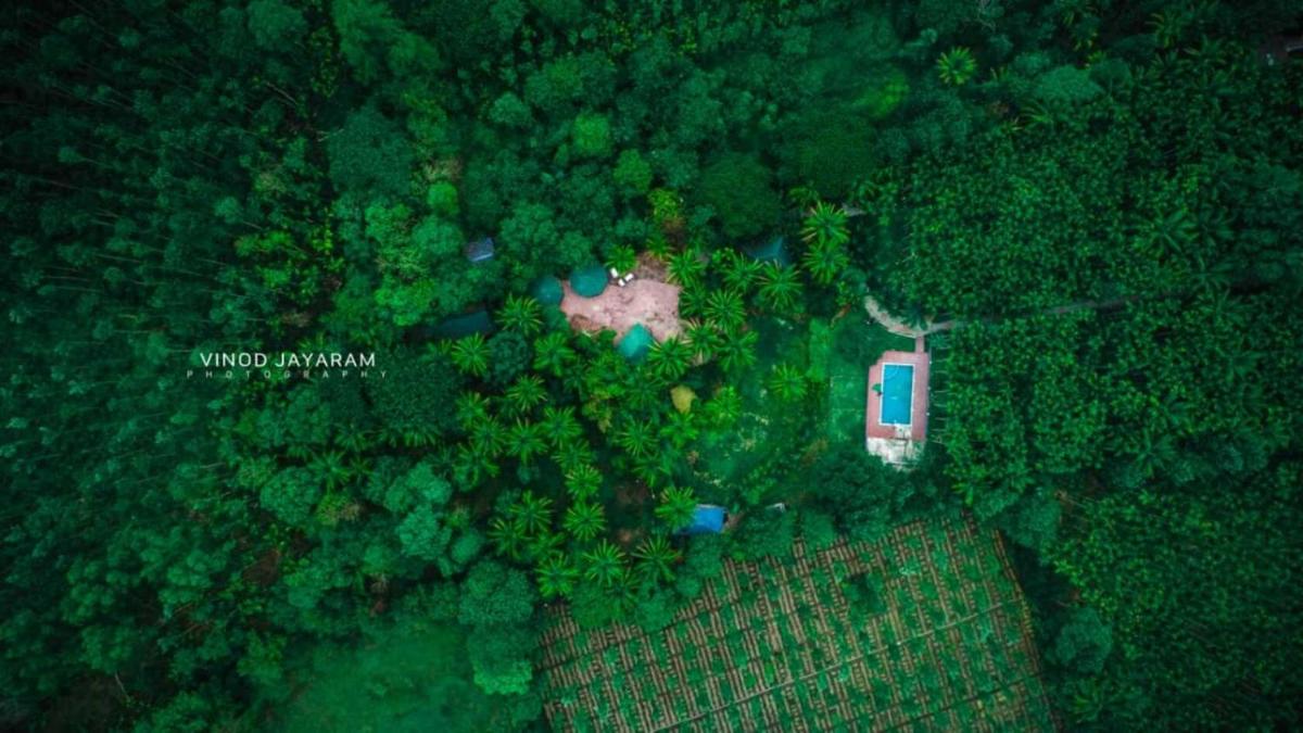 STAYMAKER Coorg Jungle Stay Resort - Housity