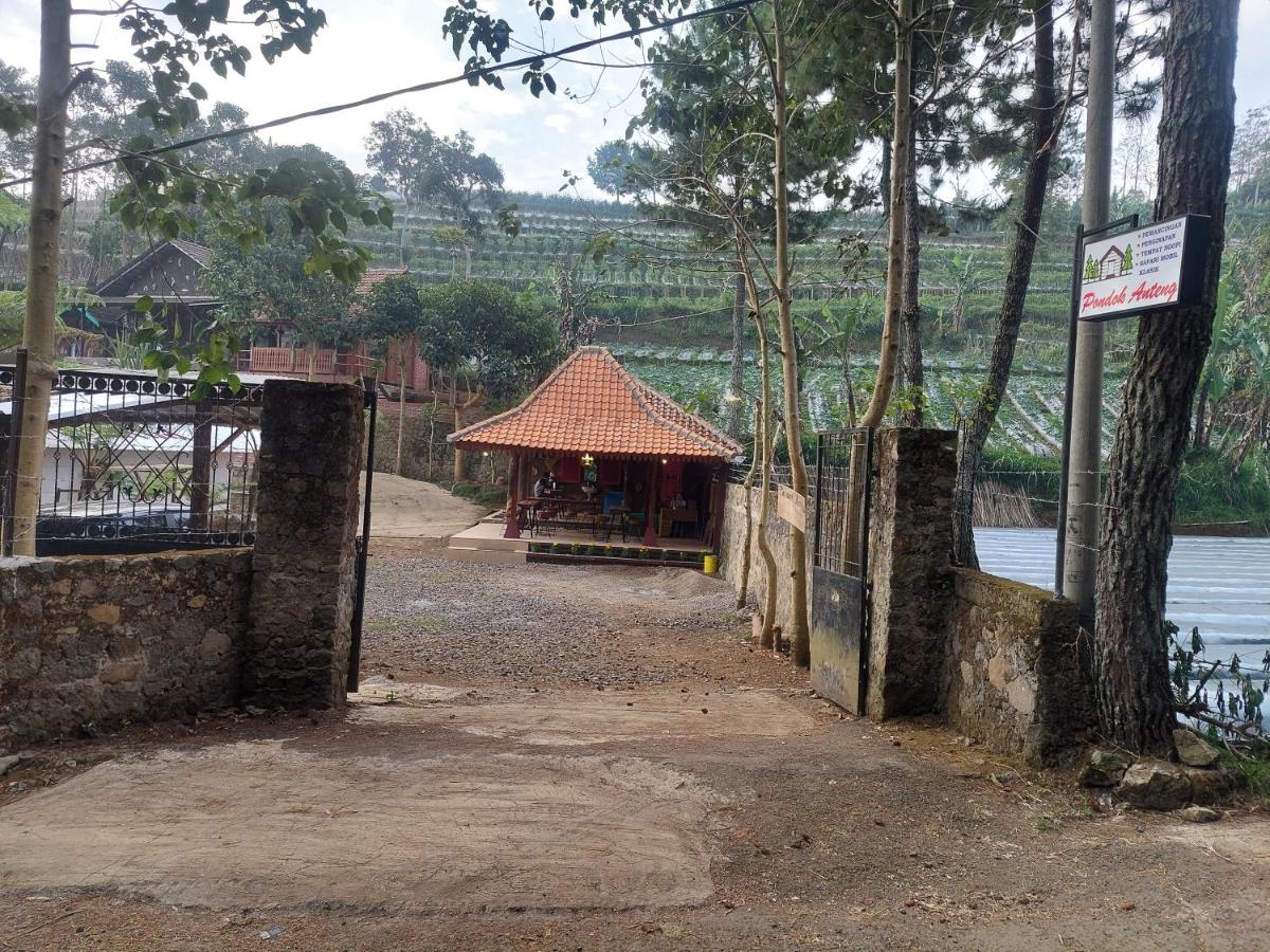 Pondok Anteng - Housity