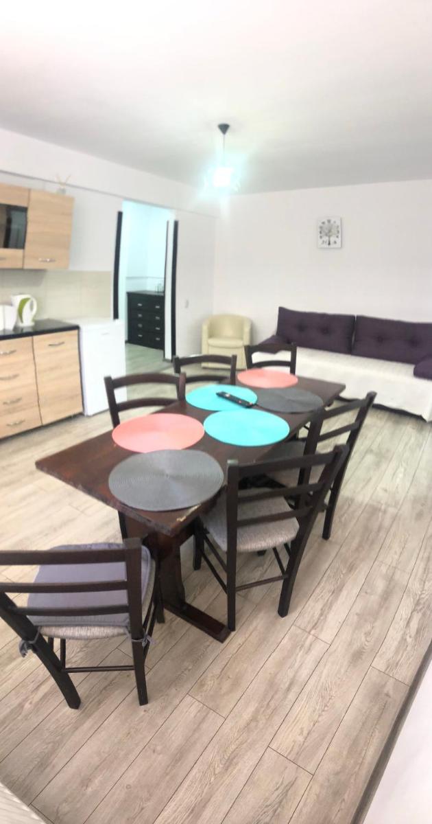 Apartament ultracentral Vatra Dornei - Housity