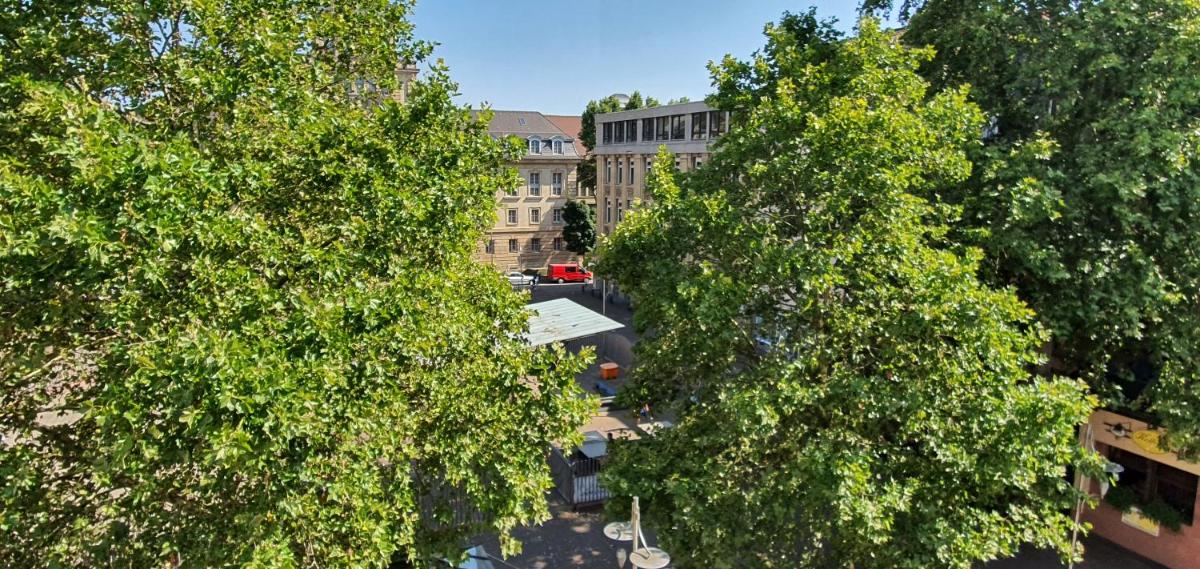 gemütliches Privatzimmer in Mannheims Stadtmitte - Housity
