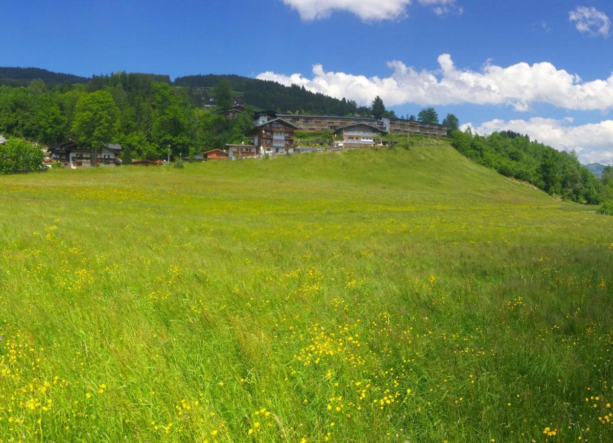 Suitetrails - Apartment Weinberg