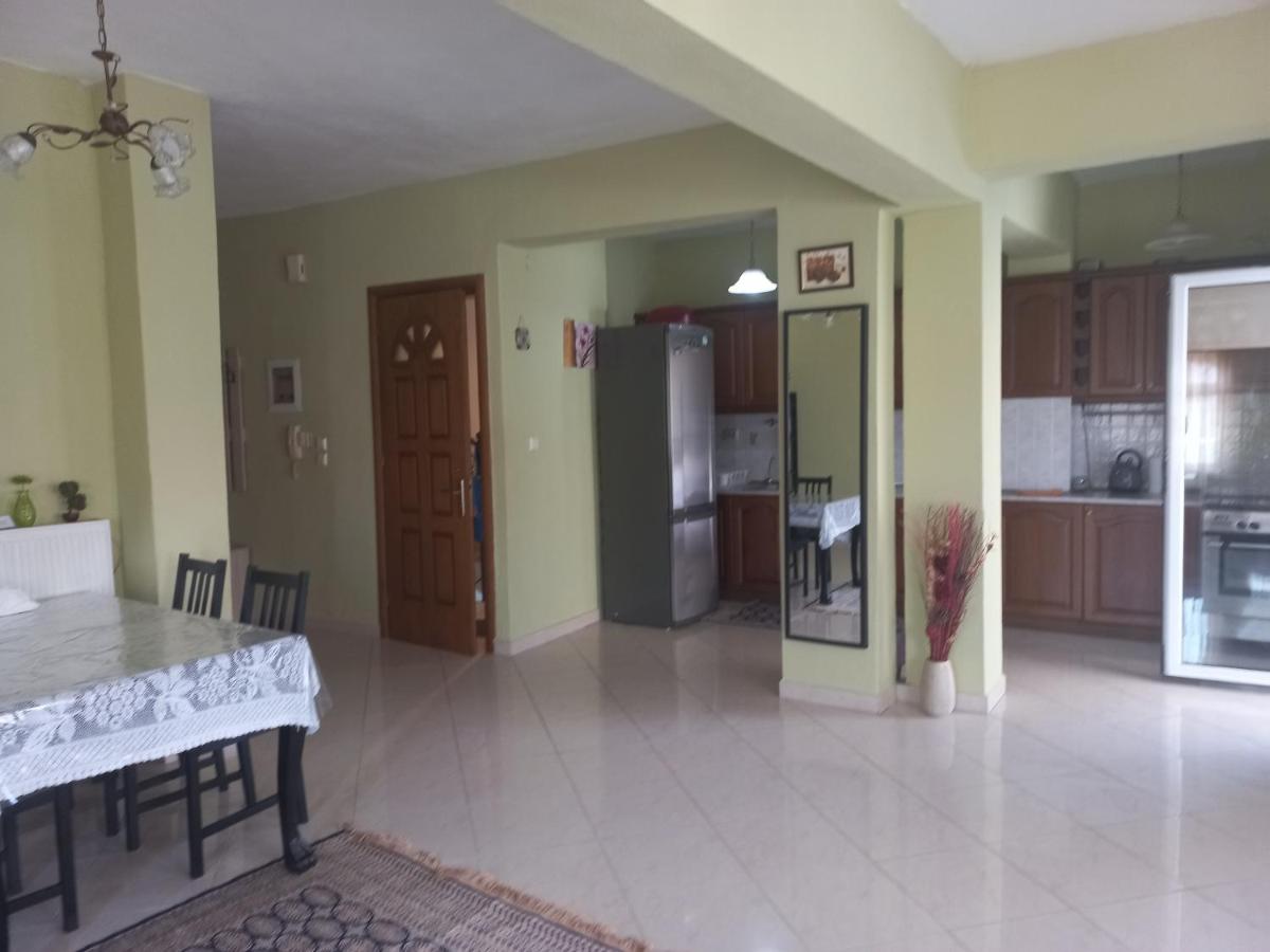 Big apartment next to Olympus mountain - Hizvo