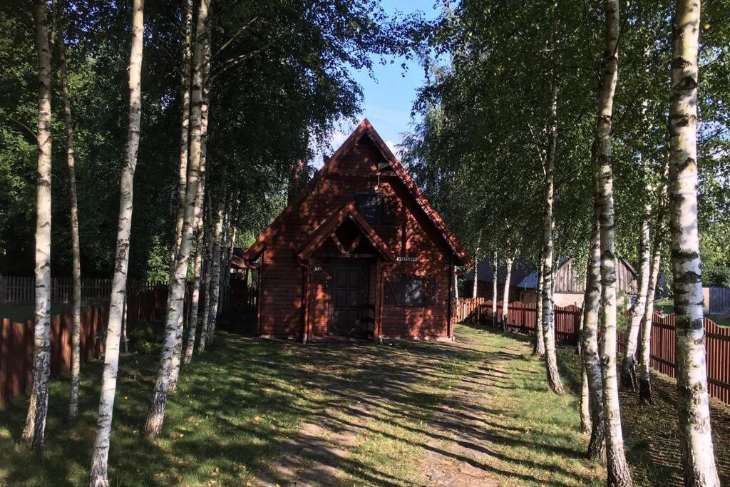 Siedlisko Czarny Bocian - Housity