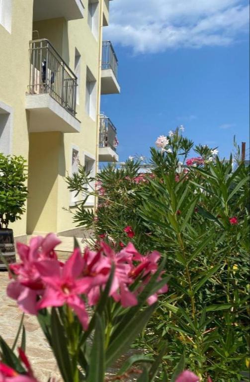 Byala Friendy Sea Apartaments - Housity