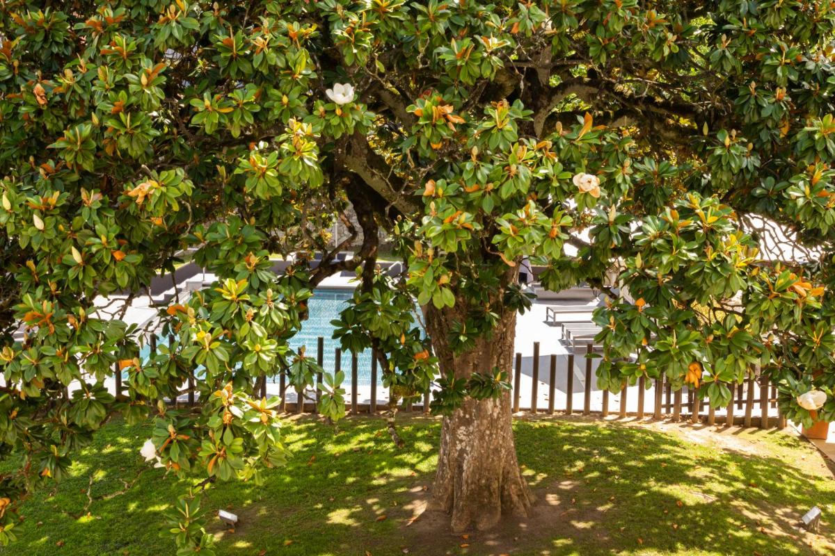 Jardín al aire libre en Silken Gran hotel Durango