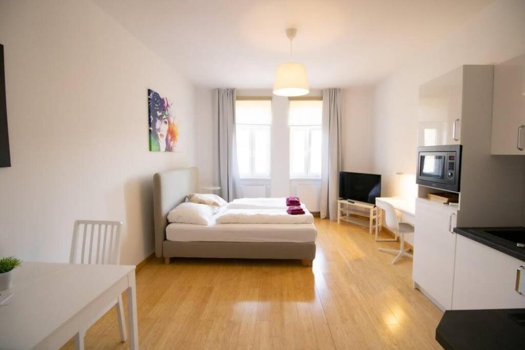 Studio-Apartment between Schoenbrunn & the City Center (30) - Housity