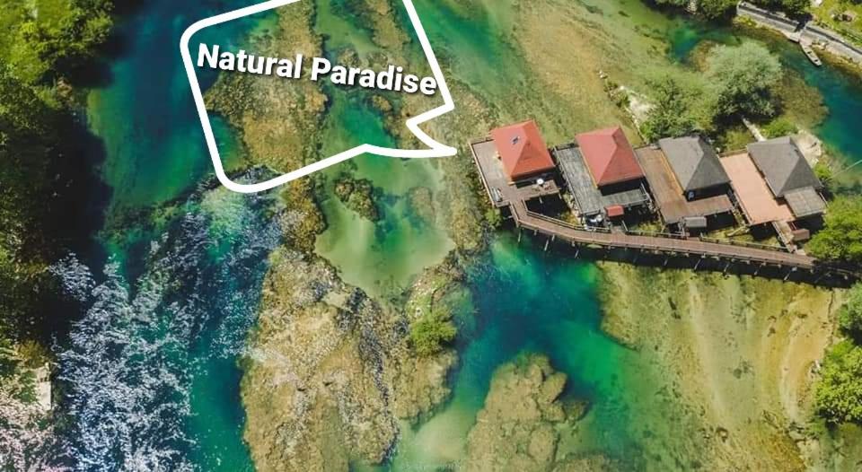 Natural Paradise - Housity