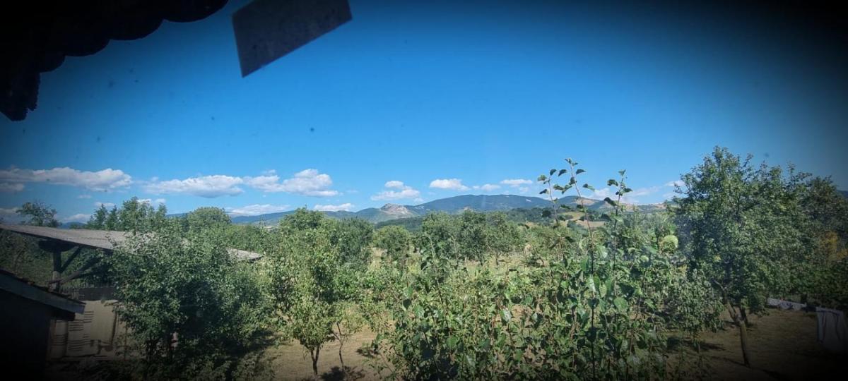 LA GRADINA - Housity