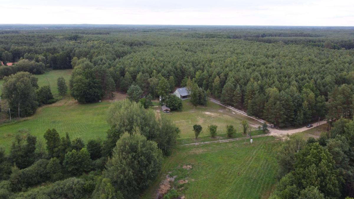 Agroturystyka PLENER - Housity