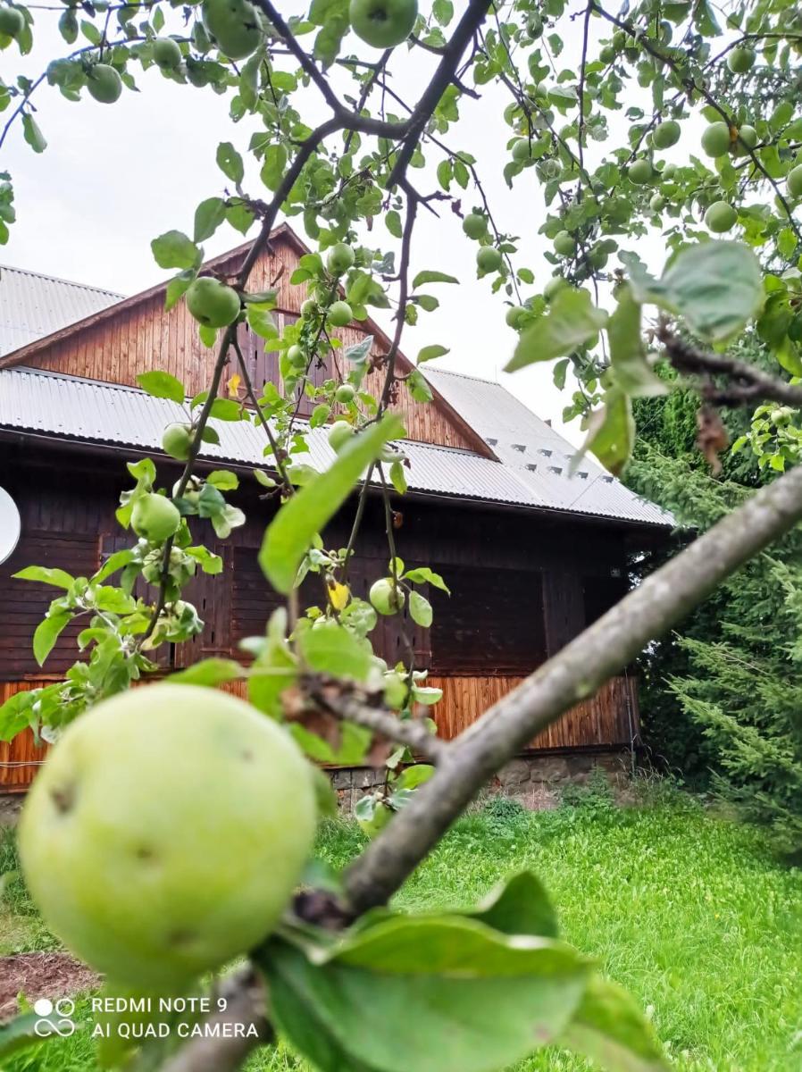 Gospodarstwo Agroturystyczne U Stasików - Housity
