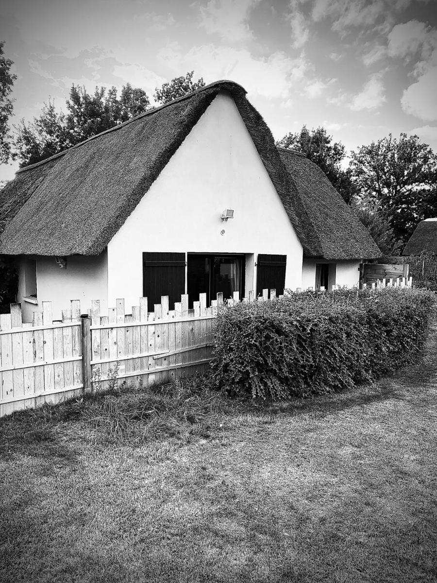 gîte le 403 - Housity