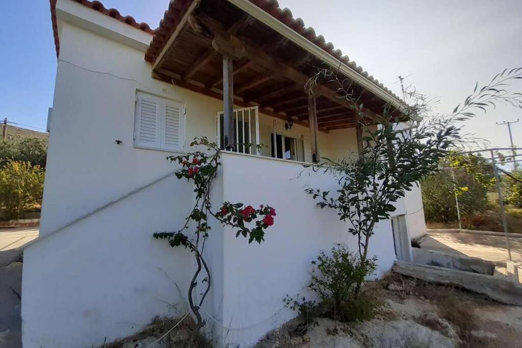 Elafonisos Detached House in Quiet Olive Grove, Starlink Internet & Smart Projector! - Housity