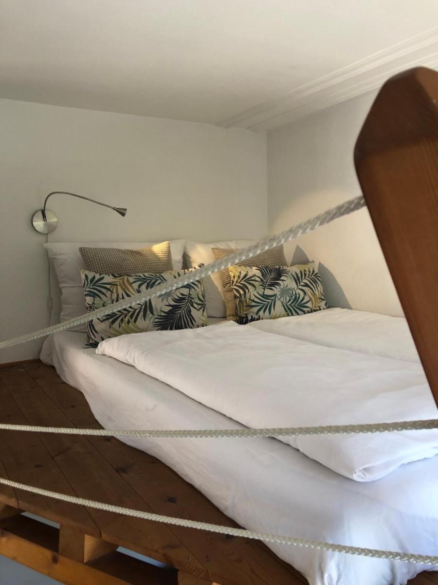 Apartment Molea - Housity