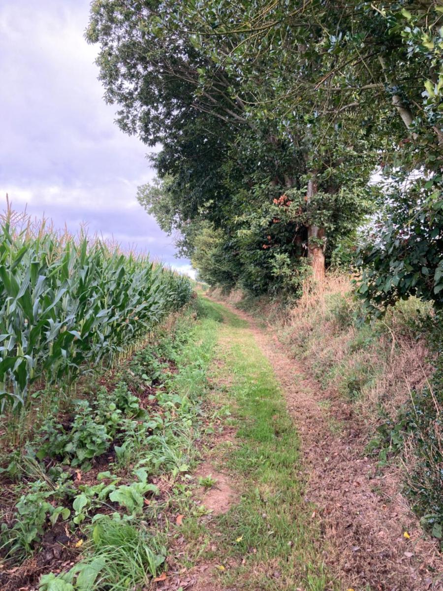 En Altitude - Housity