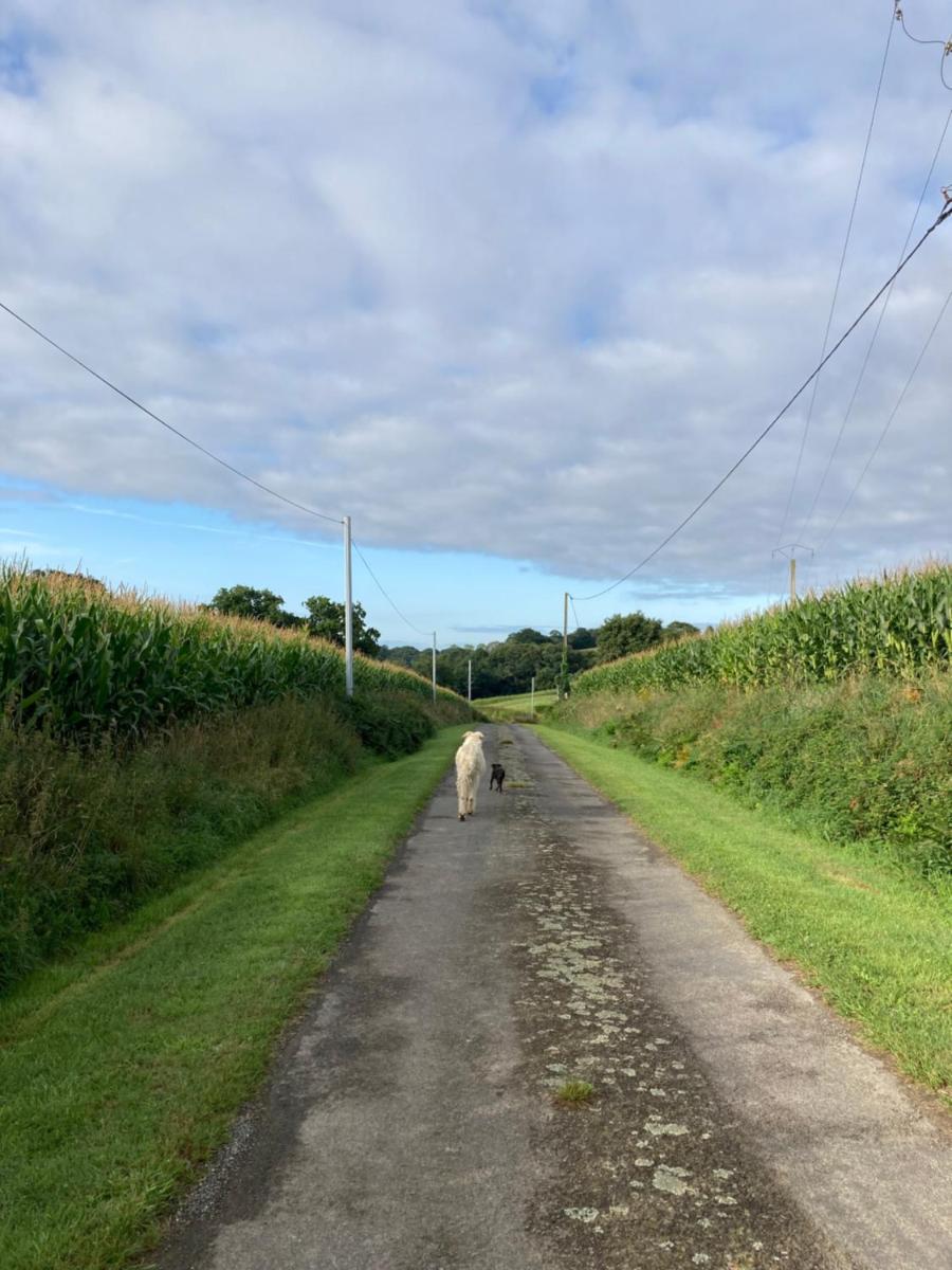 En Altitude - Housity