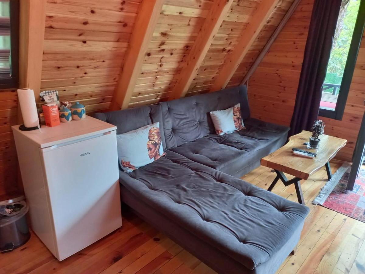 Peaceful Bungalow with Private Pool Surrounded by Nature in Sapanca - Housity