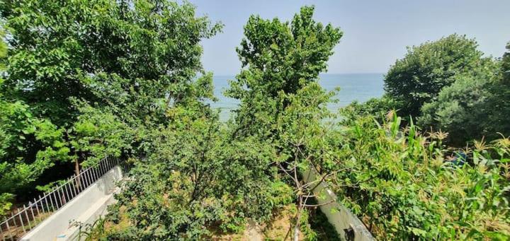 Seaside House with Splendid View in Tekirdag - Housity