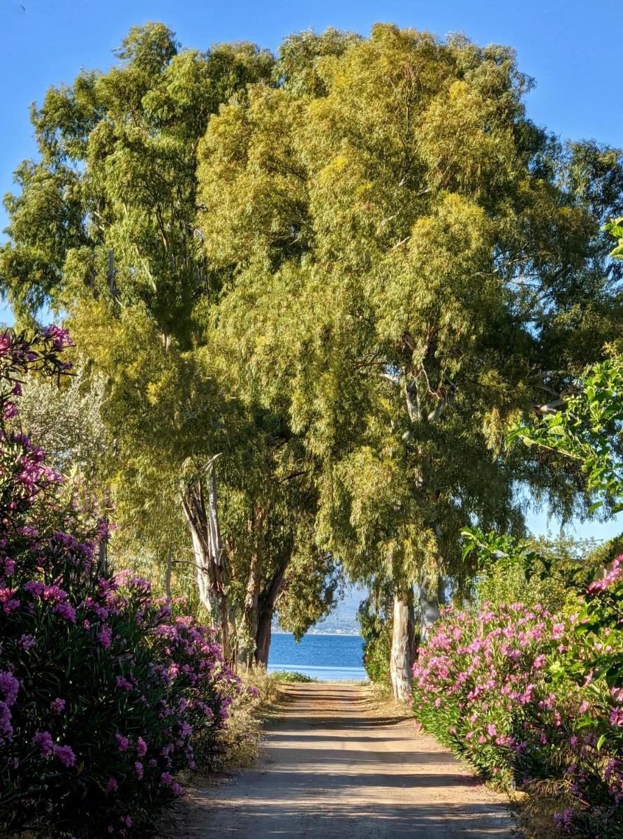 Eretria holiday house - Housity
