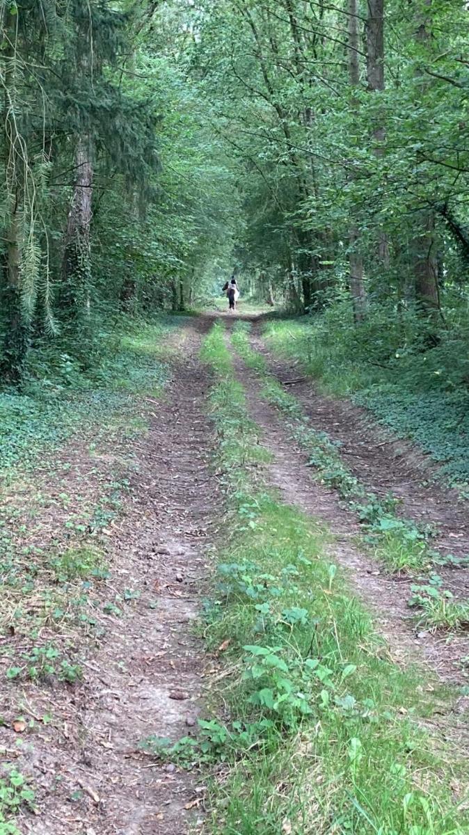 En Altitude - Housity