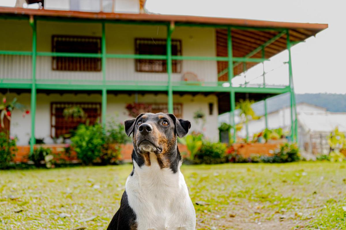 Vista Hermosa Hacienda Turística y Cafetera - Housity