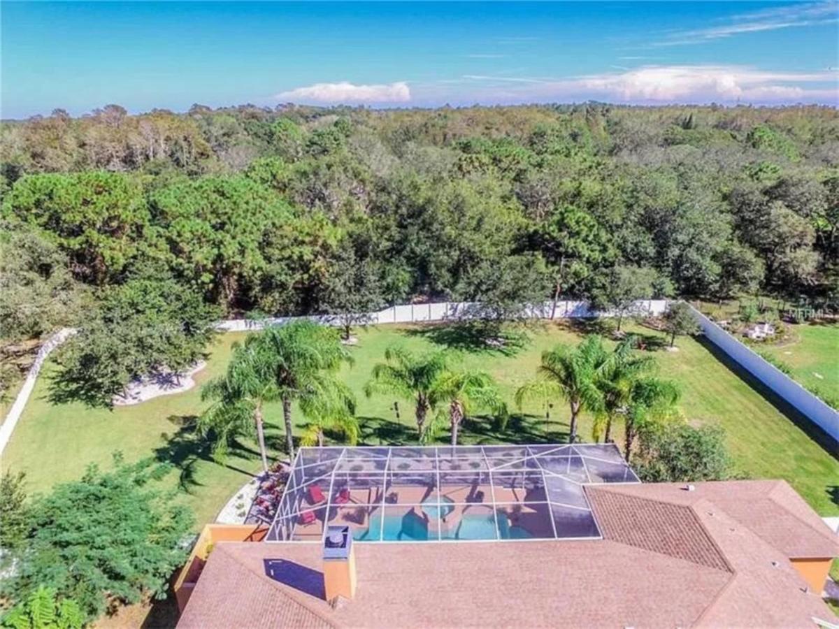 Secluded paradise in sunny Florida - Housity